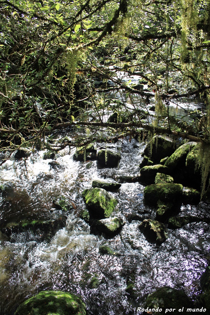 The Catlins - McLean Falls