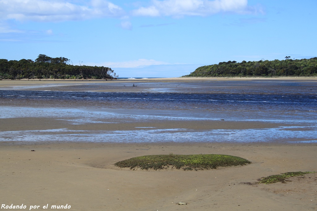 The Catlins 