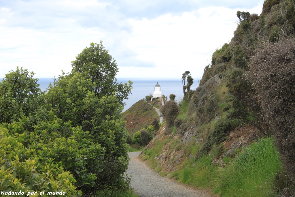 The Catlins - Nugget Point