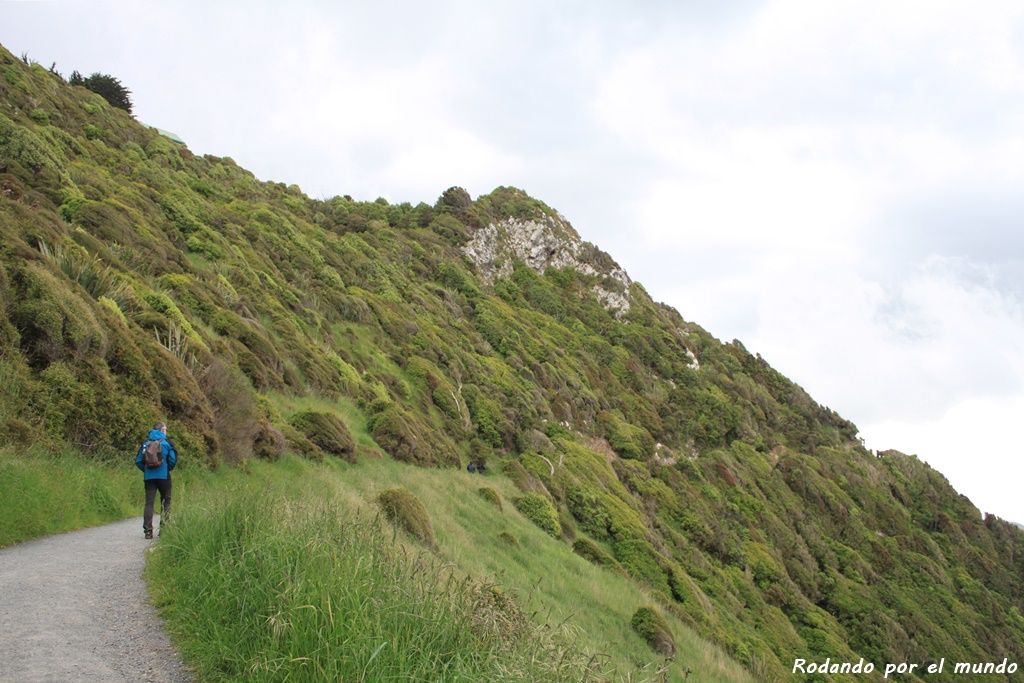 The Catlins - Nugget Point