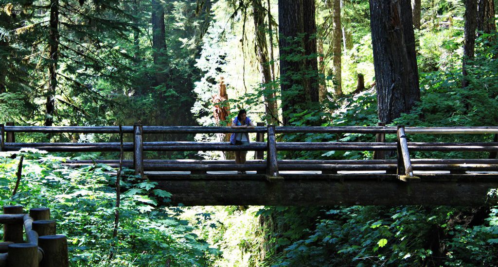 Sol Duc Falls