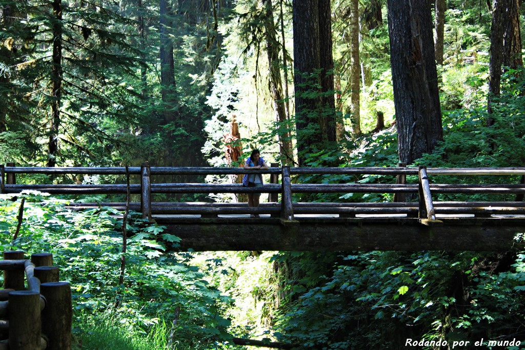 Sol Duc Falls