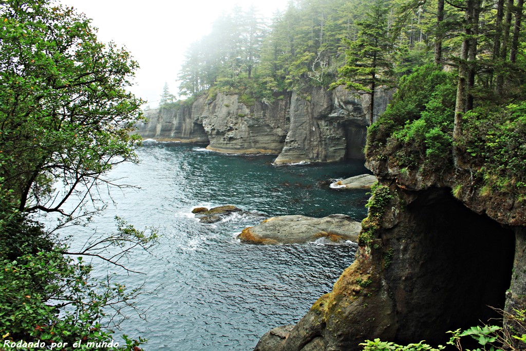 Cape Flattery