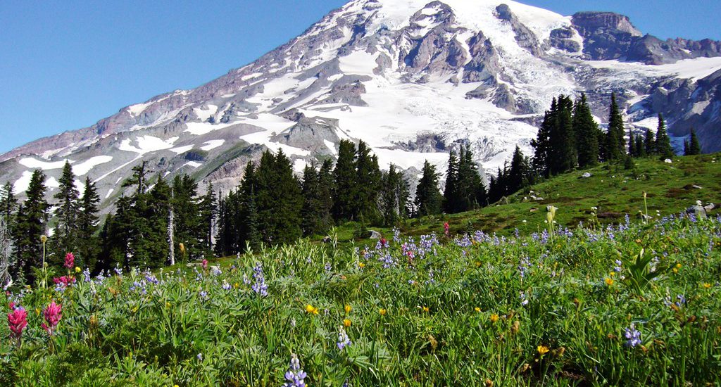 Mount Rainier National Park