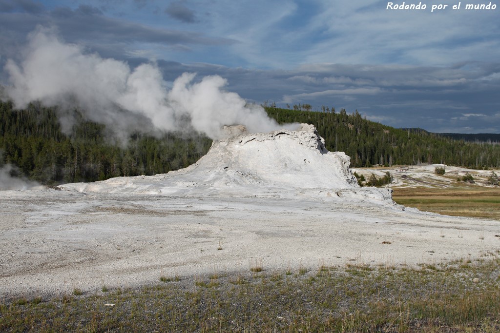 Upper Geyser Basin