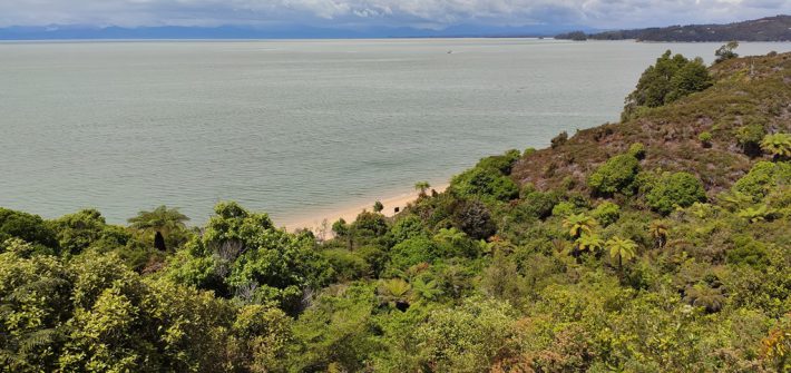 Abel Tasman National Park