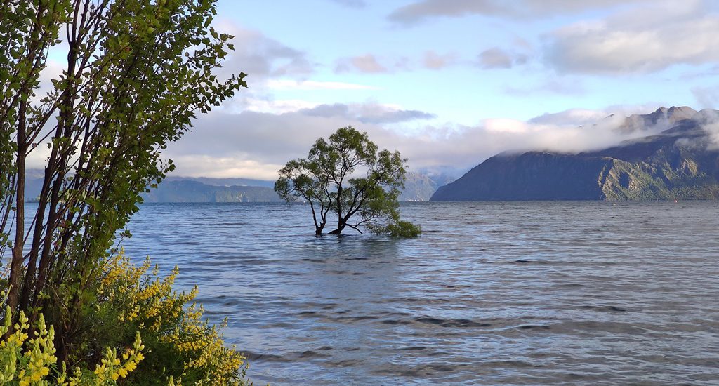 Wanaka