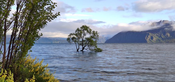 Wanaka