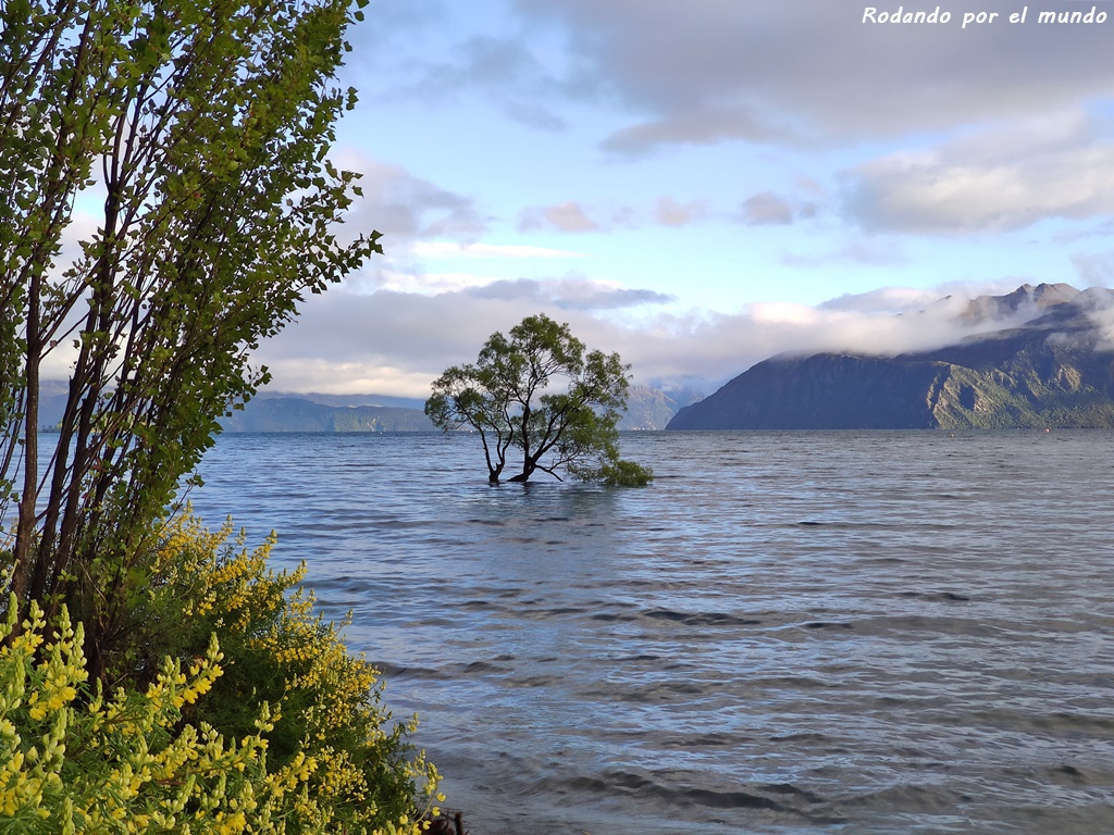 Wanaka