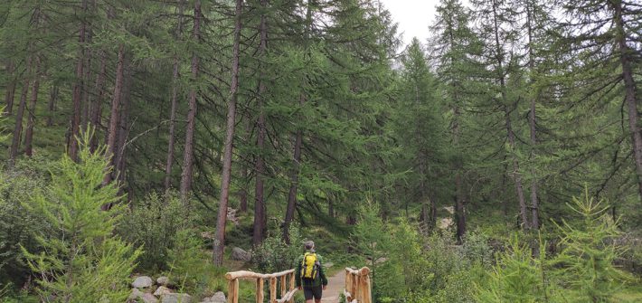 Parque Nacional Gran Paradiso